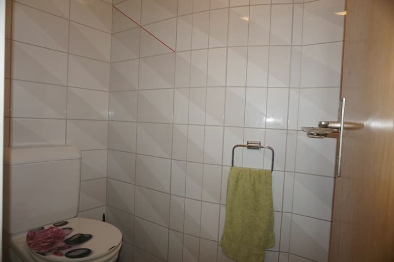 ARI-249 Appartement de 4,5 pièces au centre de Bassecourt (7)
