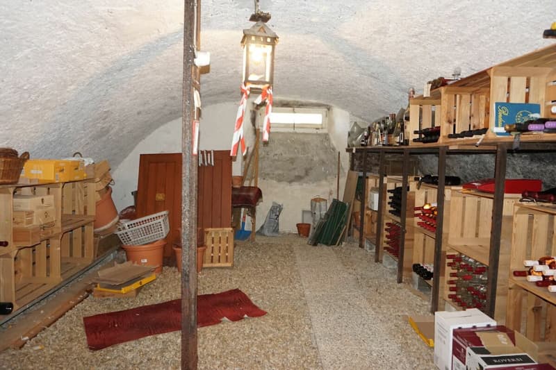 ARI-248 Pour investisseurs - Immeuble d'habitation, ancien restaurant à transformer en immeuble de rendement - Idéalement situé en zone centrale à Delémont (10)
