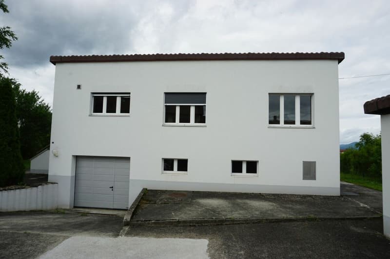 ARI-236 - Rendement - Très belle maison de 2 appartements de 4,5 et 3,5 pièces sur une parcelle de 1'134 m2. copie (2)