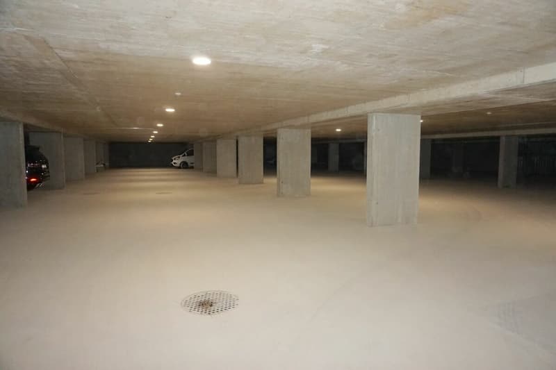 Appartement de 4,5 pièces - Surface nette de 105 m2 - Terrasse de 40 m2 - orienté ouest-nord/ouest (9)