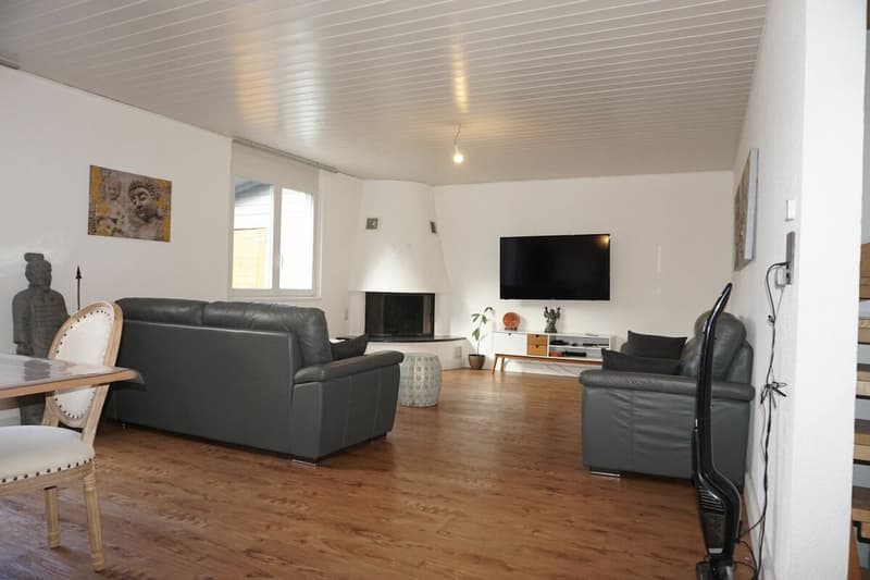 ARI-251 - Très belle maison lumineuse de 6 pièces idéalement située pour 240 m2 habitable (4)