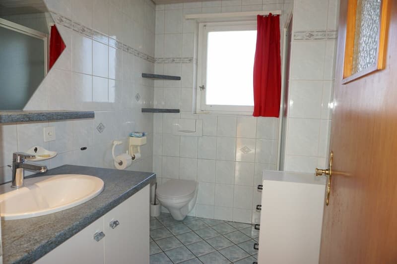 ARI-252 - Maison individuelle sur une parcelle de 904 m2 (11)
