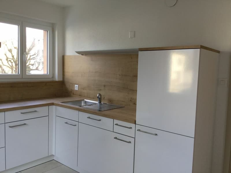 ARI-253 - Immeuble de 3 appartements, 3 garages et 2 places de parking à proximité de la gare CFF (12)