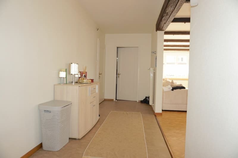 ARI-253 - Immeuble de 3 appartements, 3 garages et 2 places de parking à proximité de la gare CFF (8)
