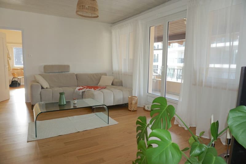 ARI-253 - Immeuble de 3 appartements, 3 garages et 2 places de parking à proximité de la gare CFF (2)