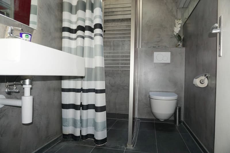 ARI-258 - Maison individuelle de 6,5 pièces sur une parcelle de 1'572 m2 (21)