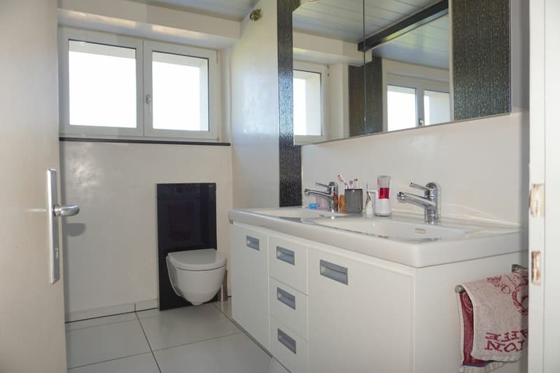 ARI-258 - Maison individuelle de 6,5 pièces sur une parcelle de 1'572 m2 (15)