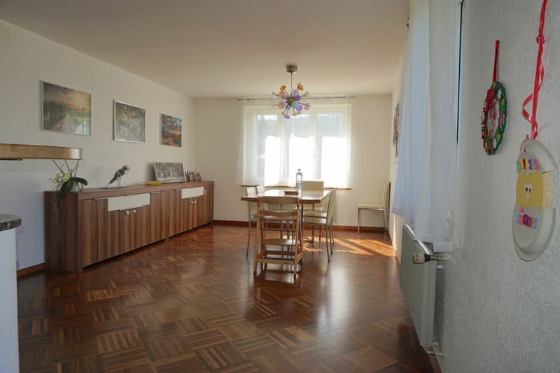 ARI-258 - Maison individuelle de 6,5 pièces sur une parcelle de 1'572 m2 (12)