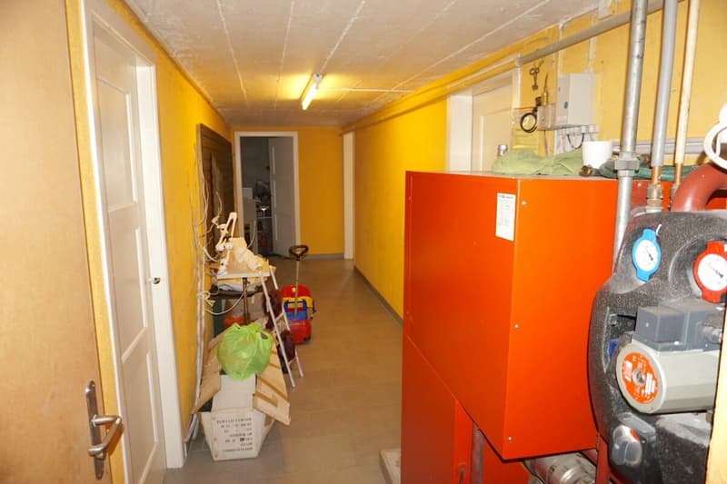 ARI-212 - Immeuble mixte de 250 m2 sur une parcelle de 723 m2 à Bassecourt (22)