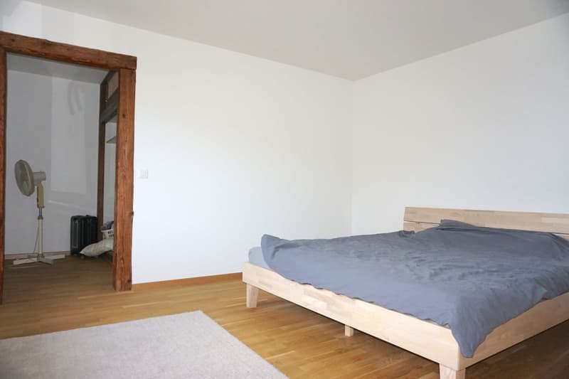 ARI-140 - Immeuble mixte constitué d'une grande maison de 8,5 pièces avec bureaux et ateliers (12)