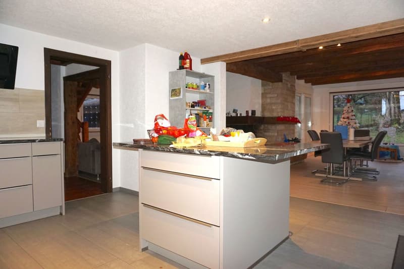 ARI-140 - Immeuble mixte constitué d'une grande maison de 8,5 pièces avec bureaux et ateliers (10)