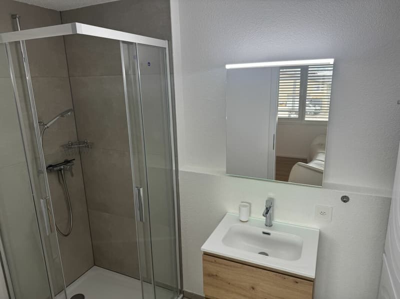 ARI-0826 - Appartement moderne de 2,5 pièces avec colonne de machines à laver/à sécher - Reprise de bail (7)