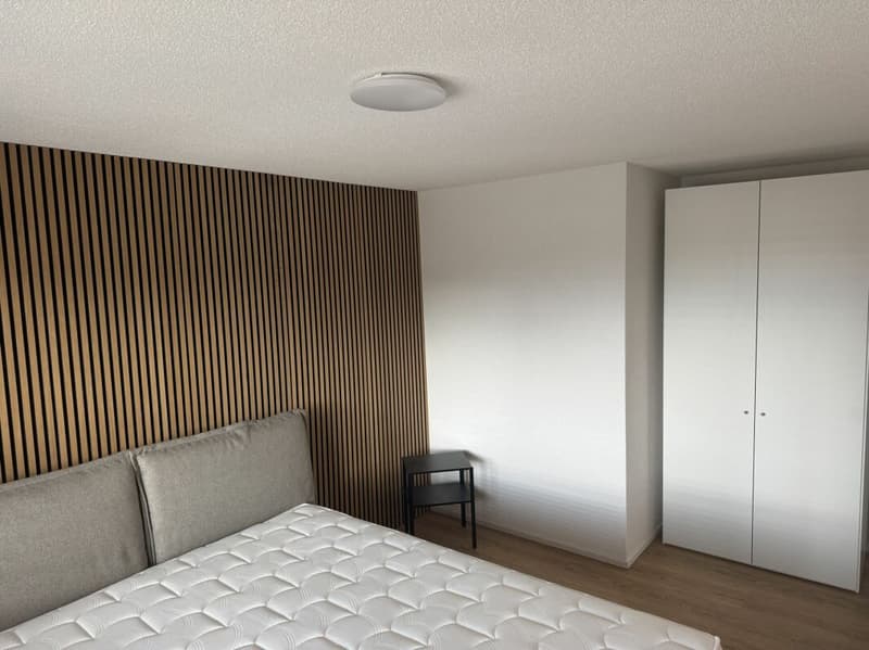 ARI-0826 - Appartement moderne de 2,5 pièces avec colonne de machines à laver/à sécher - Reprise de bail (6)