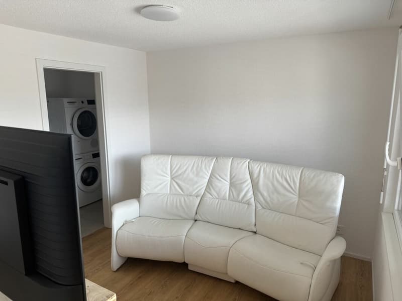 ARI-0826 - Appartement moderne de 2,5 pièces avec colonne de machines à laver/à sécher - Reprise de bail (3)