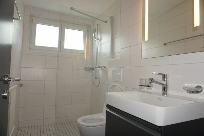 ARI-236 - Très belle maison de 2 appartements de 4,5 et 3,5 pièces sur une parcelle de 1'134 m2. (15)
