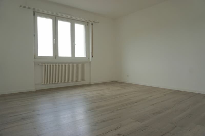 ARI-236 - Très belle maison de 2 appartements de 4,5 et 3,5 pièces sur une parcelle de 1'134 m2. (10)