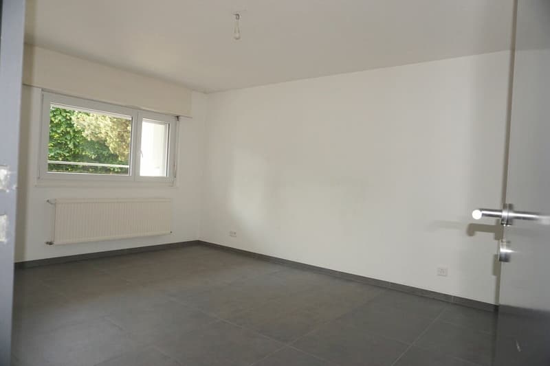 ARI-236 - Très belle maison de 2 appartements de 4,5 et 3,5 pièces sur une parcelle de 1'134 m2. (14)