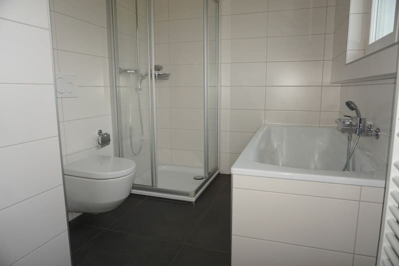 ARI-236 - Très belle maison de 2 appartements de 4,5 et 3,5 pièces sur une parcelle de 1'134 m2. (8)