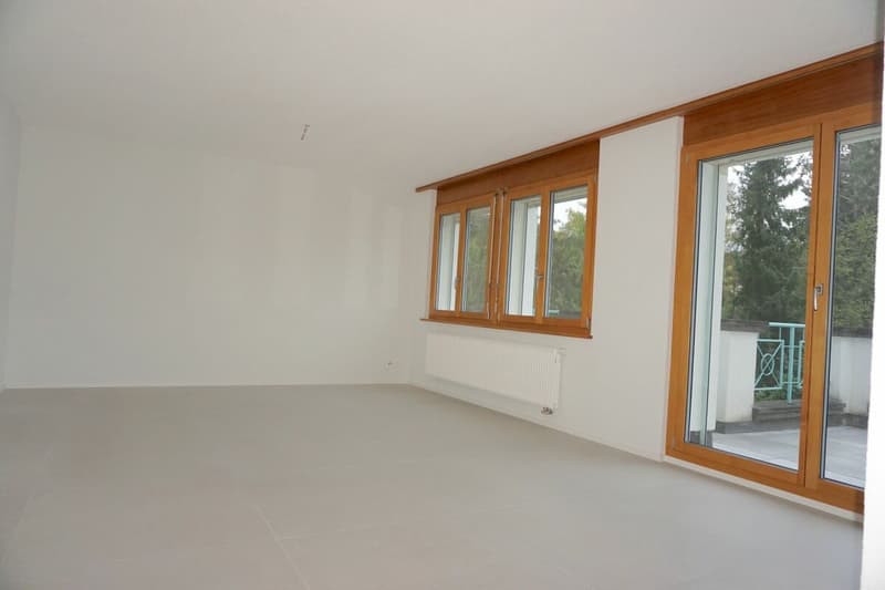 ARI-249 Magnifique appartement rénové de 4,5 pièces avec parking (3)