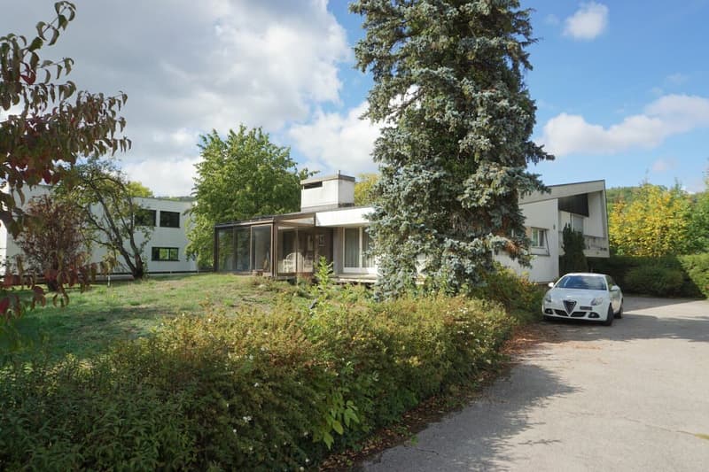 ARI-264 - Villa d'architecte sur un terrain de 1'661 m2 à Courtételle (2)