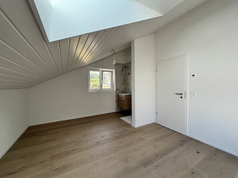 Magnifique appartement neuf, en attique avec vue lac (8)