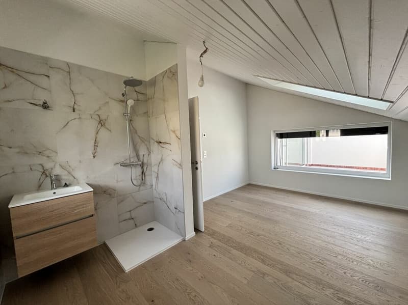 Magnifique appartement neuf, en attique avec vue lac (7)