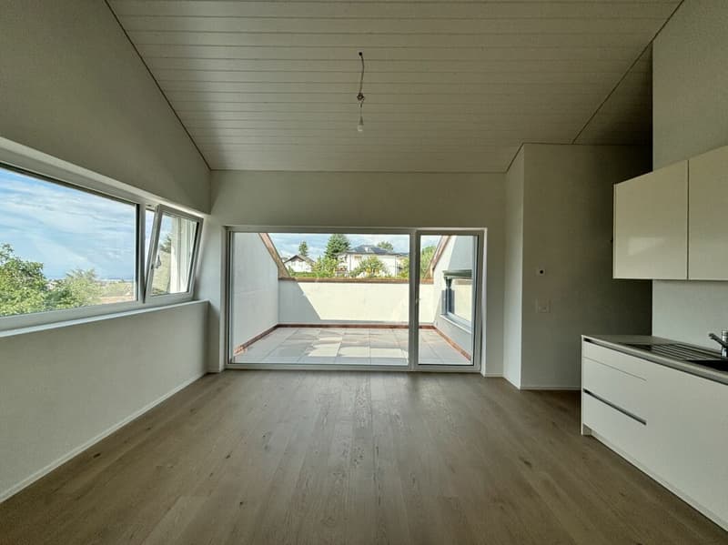 Magnifique appartement neuf, en attique avec vue lac (3)