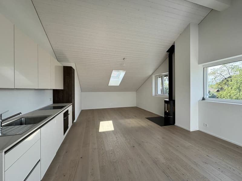 Magnifique appartement neuf, en attique avec vue lac (5)