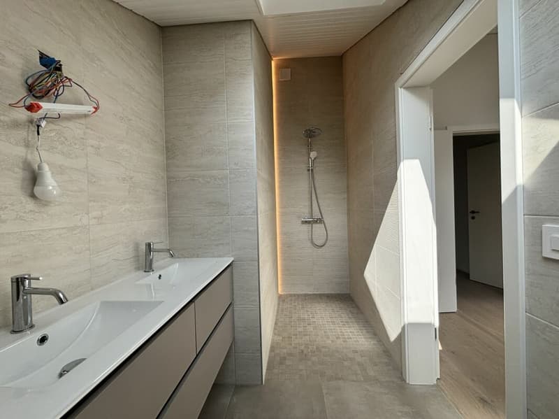 Magnifique appartement neuf, en attique avec vue lac (11)