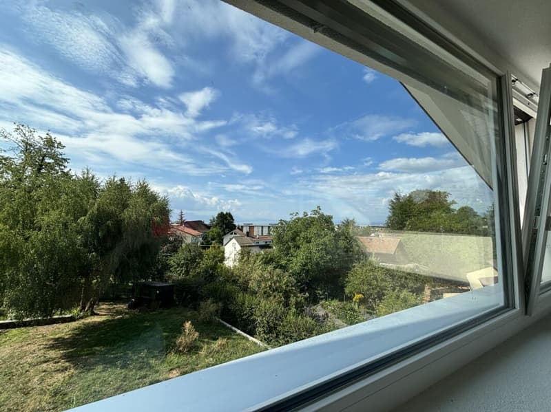 Magnifique appartement neuf, en attique avec vue lac (2)