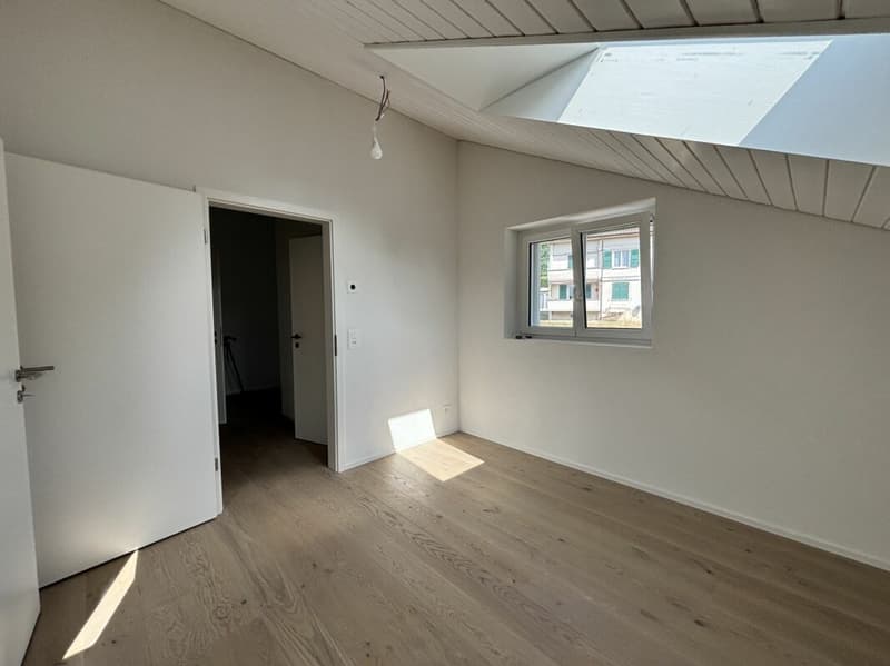 Magnifique appartement neuf, en attique avec vue lac (9)