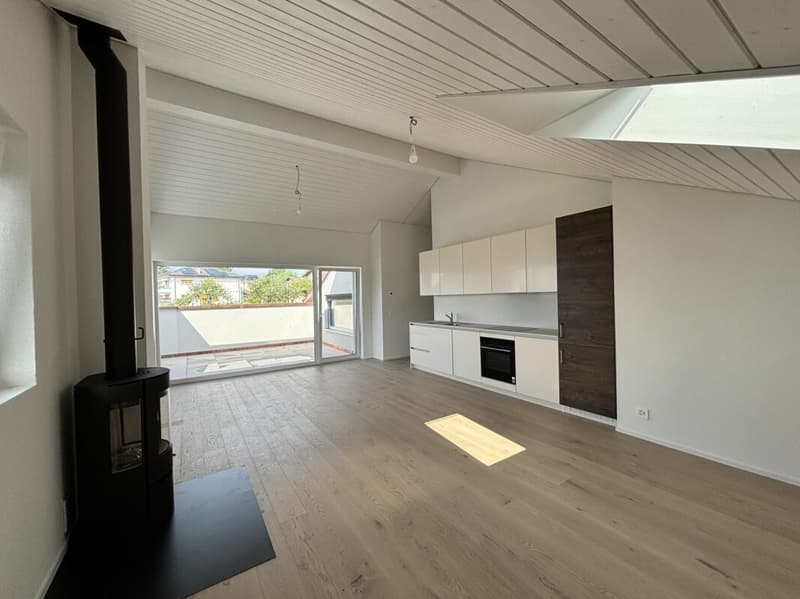 Magnifique appartement neuf, en attique avec vue lac (1)