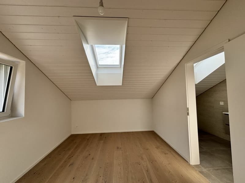 Magnifique appartement neuf, en attique avec vue lac (10)