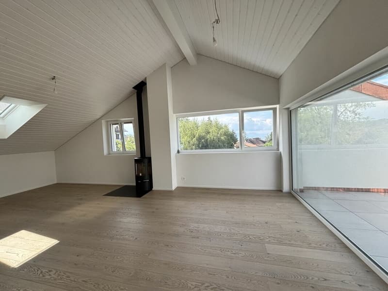 Magnifique appartement neuf, en attique avec vue lac (4)