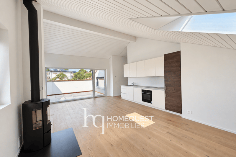 Magnifique appartement neuf, en attique avec vue lac (1)