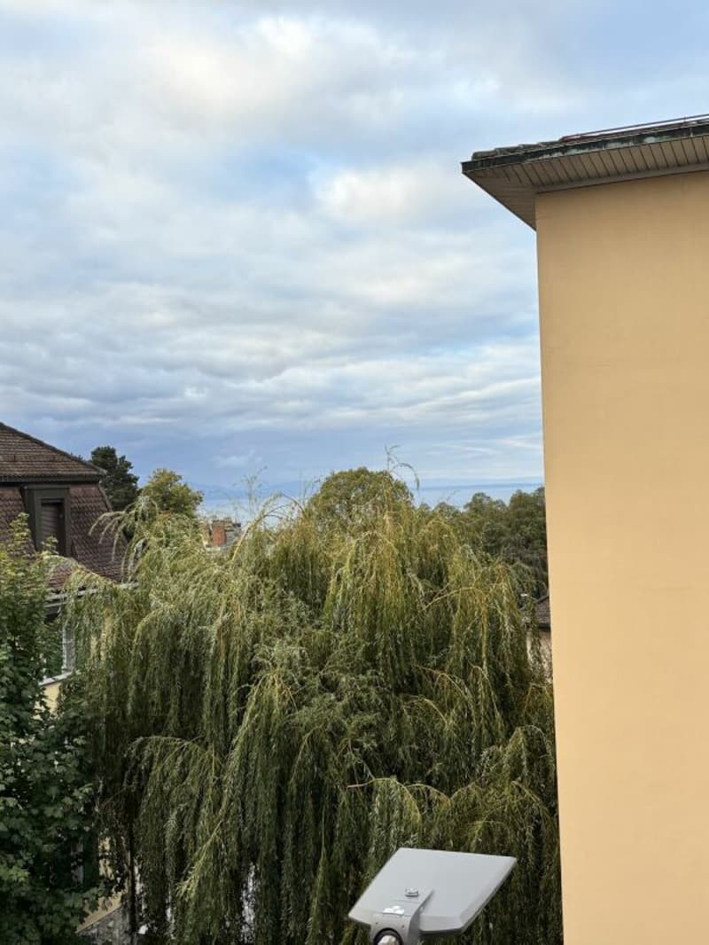 Appartement de 2.5 pièces au 2ème étage - VISITE GROUPEE LE LUNDI 12 OCTOBRE 2026 de 17h à 17h30 (3)