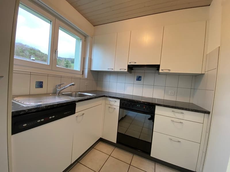 Compact kitchen with white cabinets, black countertops, tiled backsplash, and a dishwasher. Large windows provide natural light.