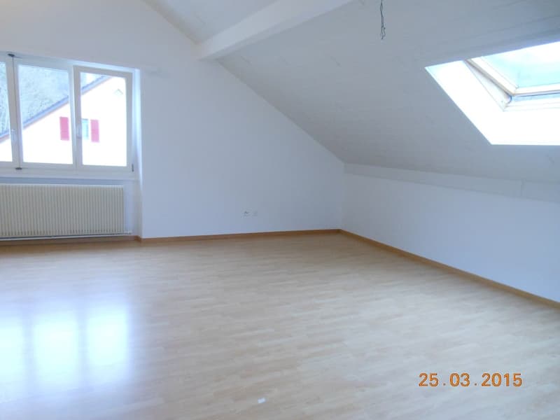 empty room, wooden floor, white walls, two windows, one with a view, attic ceiling, skylight