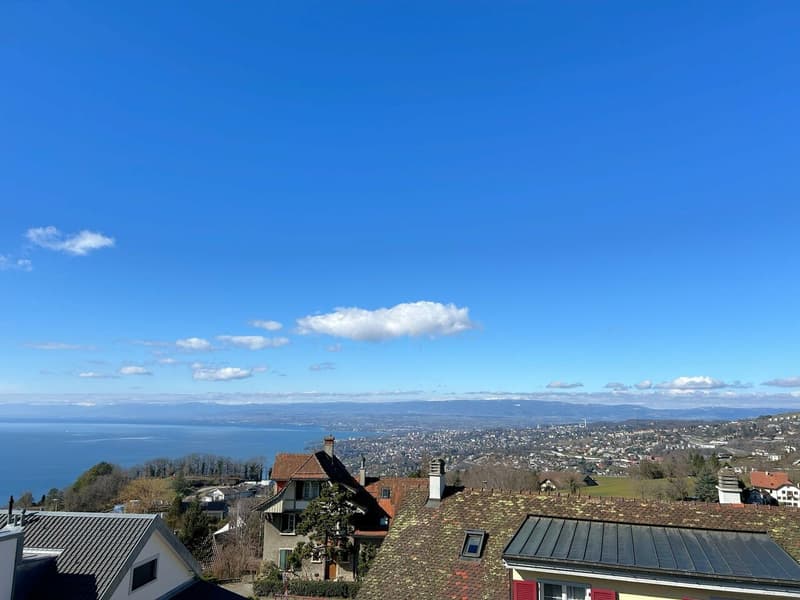 Grande maison avec une vue splendide sur le Lac et les Aples (1)