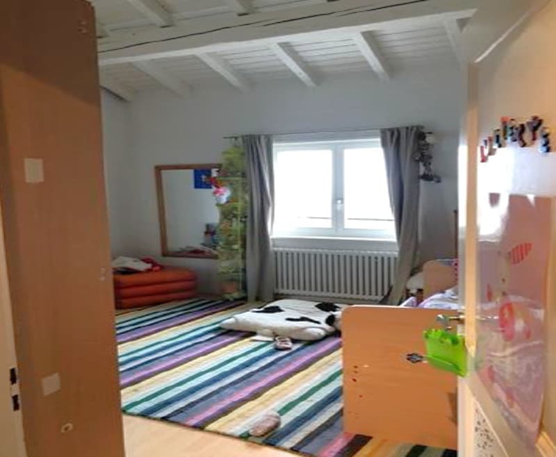 Grande maison avec une vue splendide sur le Lac et les Aples (8)