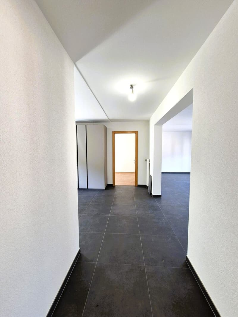 Très beau appartement très bien entretenu à vendre à Noës (6)