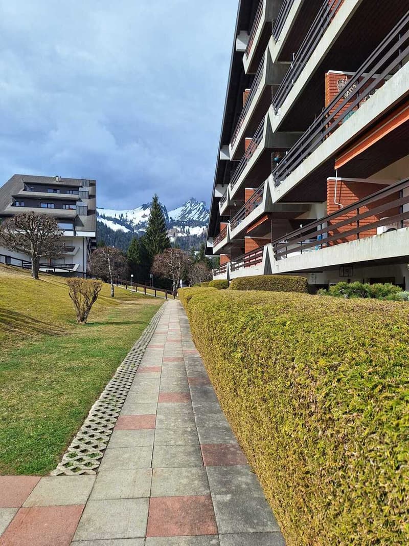 Superbe studio rénové en vente à Torgon (2)