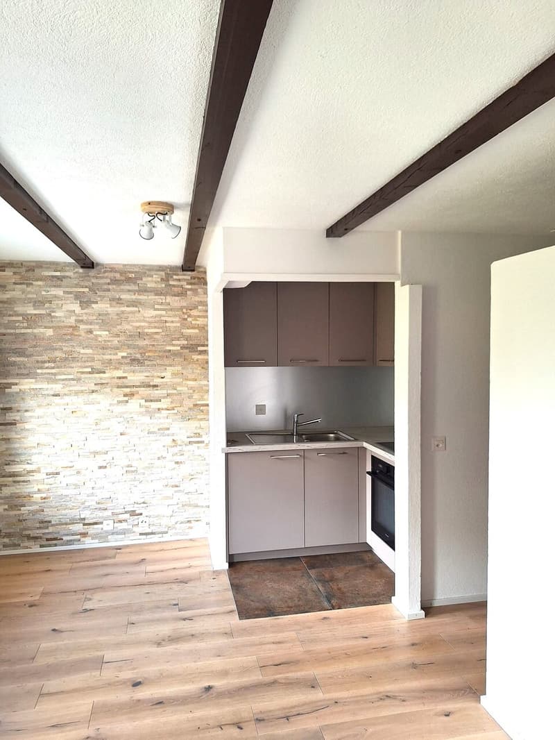 Superbe studio rénové en vente à Torgon (3)