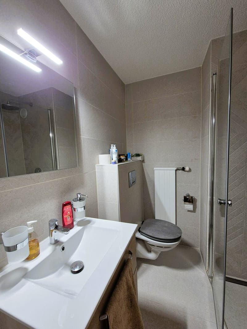 Duplex 3,5 pièces lumineux avec jardin, cadre calme et recherche (9)