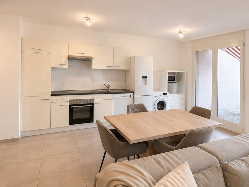 Appartement lumineux avec terrasse et jardin privatif (3)