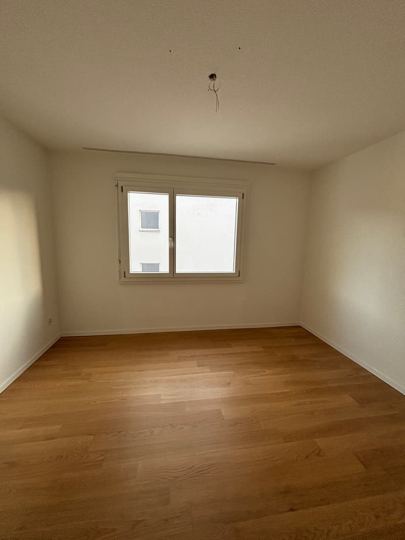 Zimmer_3.jpg