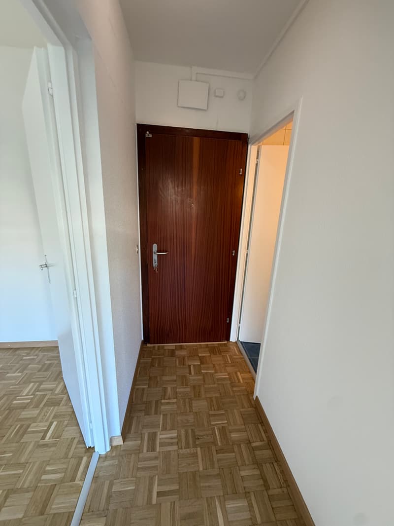 IMG_6371.jpeg