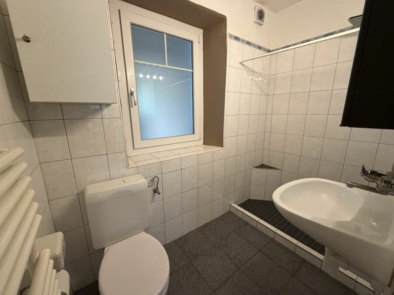 Einfamilienhaus in Chur, Meiersboden mit Entwicklungspotenzial (8)