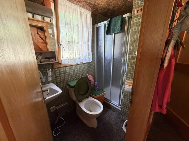 Ferienhaus mit Charme, Ruhe und Weitblick im Domleschg (11)