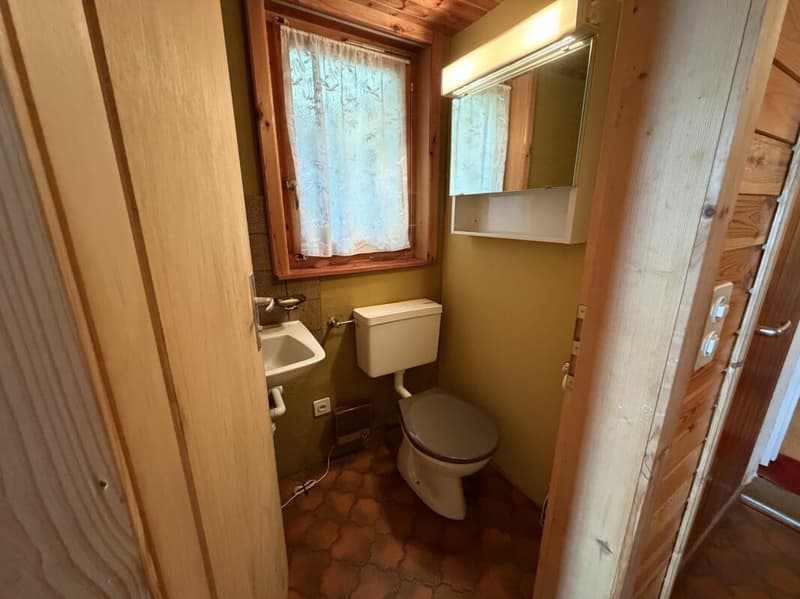 Ferienhaus mit Charme, Ruhe und Weitblick im Domleschg (12)